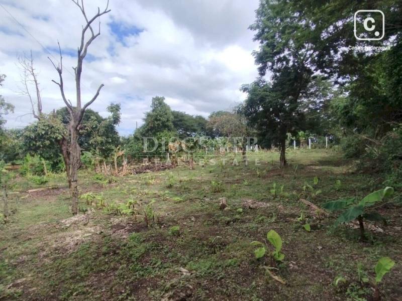 Terreno en venta en Suburbana, Managua – 1,300 varas²