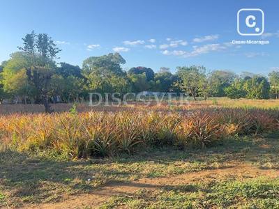Terreno en venta en Carretera Masaya, Managua – 13,390 varas²