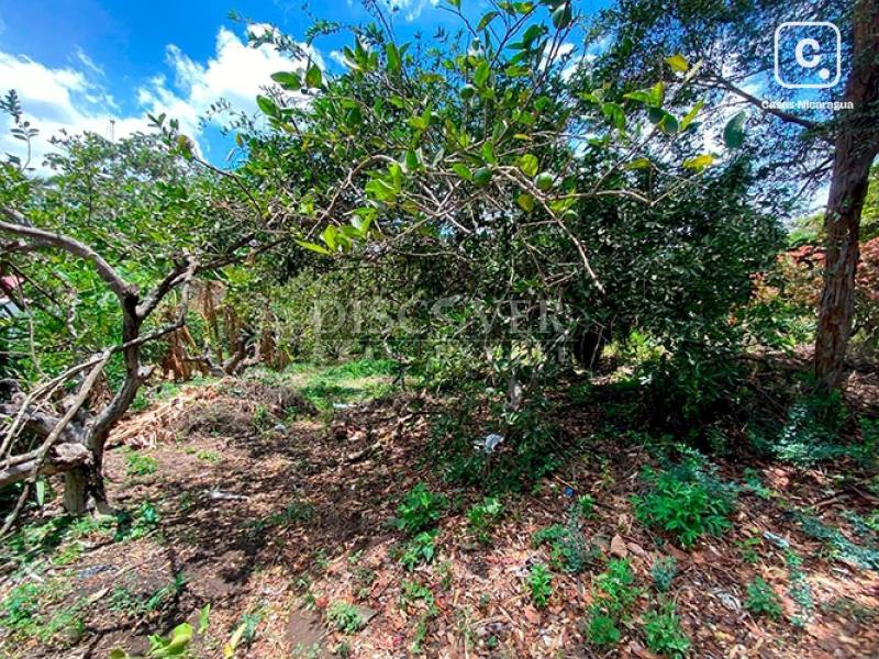 Terreno en venta en Villa Fontana, Managua – 3,000 varas²