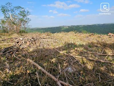 Terreno en venta en Carretera Vieja a León, Managua – 30,000 varas²