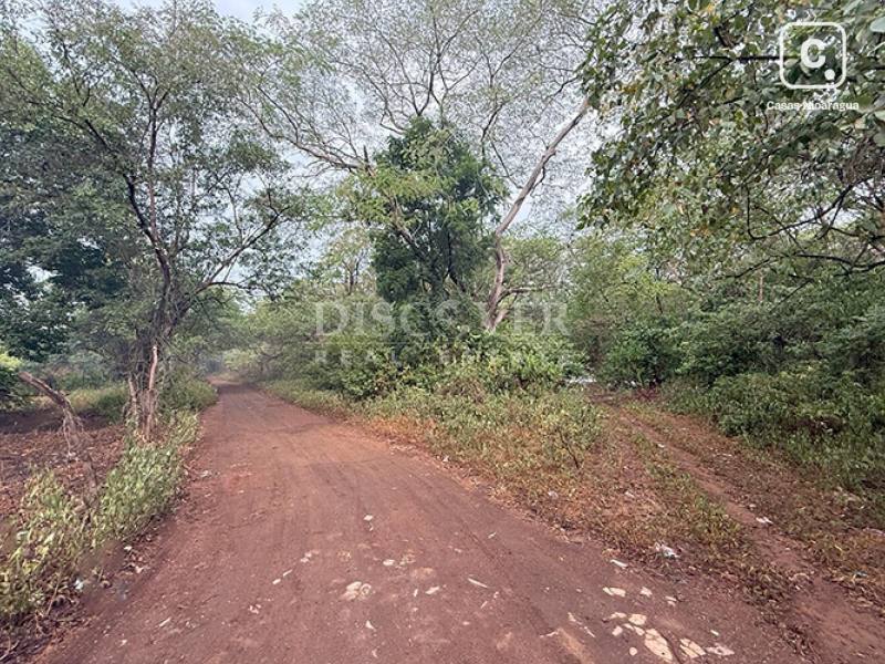 Terreno en venta en Suburbana, Managua – 50,000 varas²
