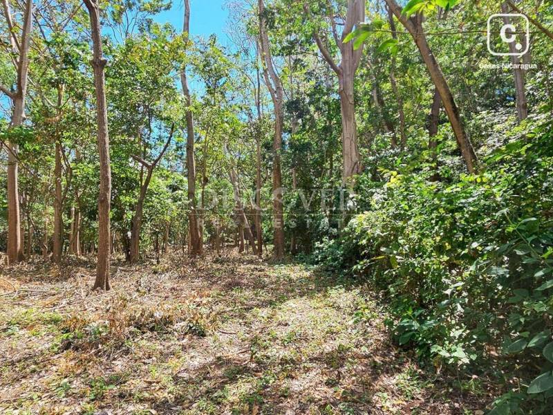 Terreno en venta en Villa Fontana, Managua – 30,000 varas², US$ 900,000