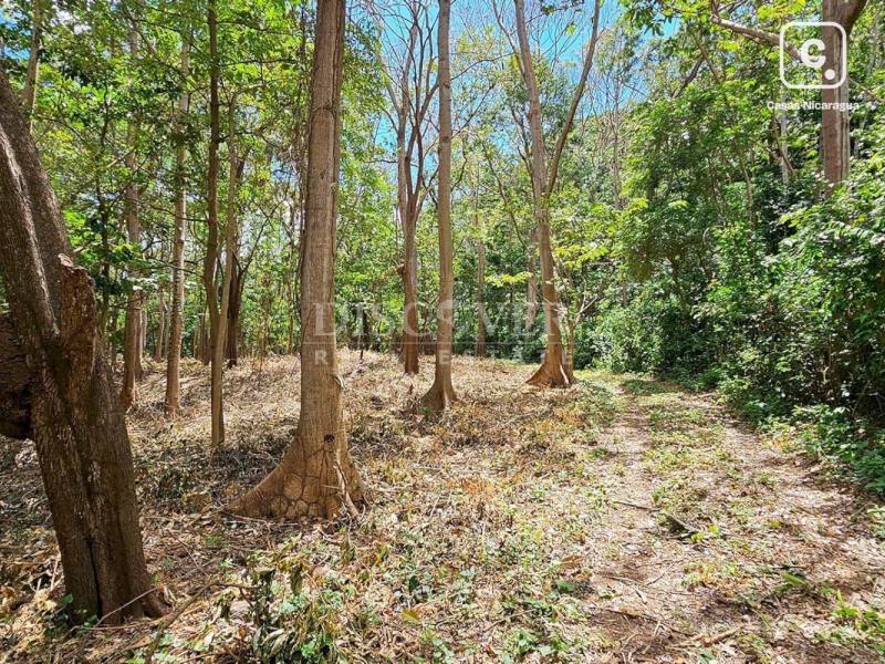 Terreno en venta en Villa Fontana, Managua – 30,000 varas², US$ 900,000