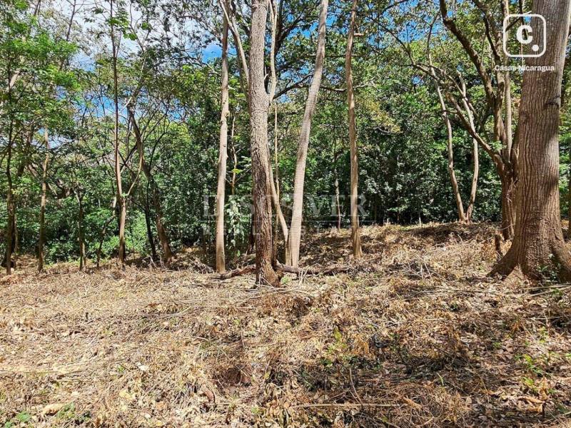 Terreno en venta en Villa Fontana, Managua – 30,000 varas², US$ 900,000