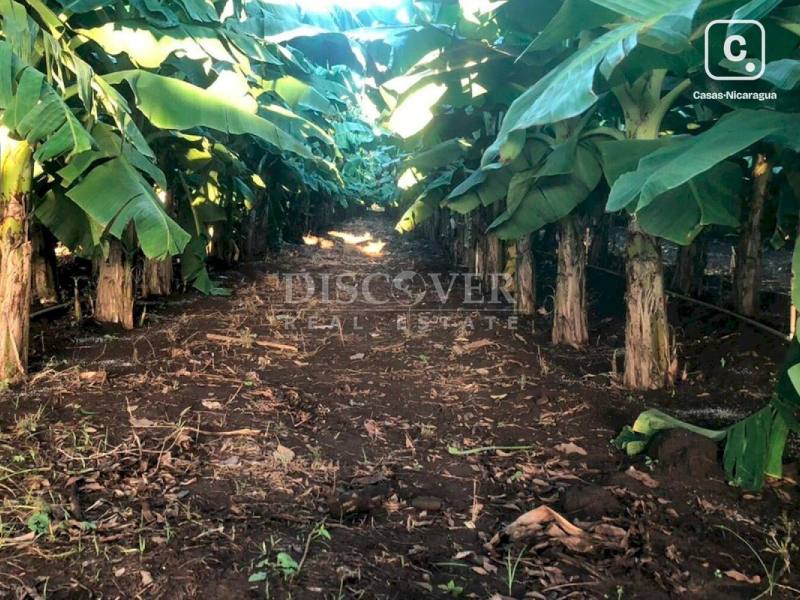 Finca en venta en Villa el Carmen, Managua – 130,000 varas²