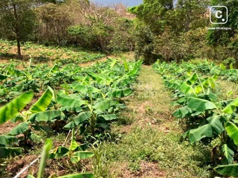 Finca en venta en Villa el Carmen, Managua – 130,000 varas²