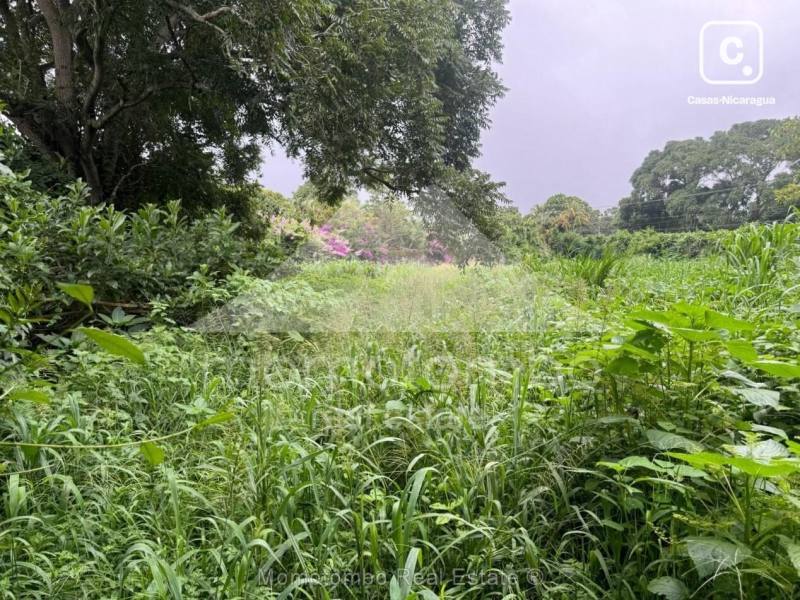 Terreno en venta en Diriamba, Carazo – 10,000 varas²