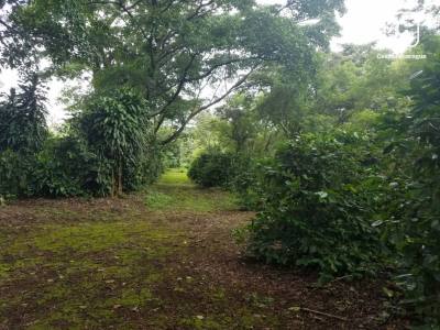Terreno en venta en Diriamba, Carazo – 50,000 varas²