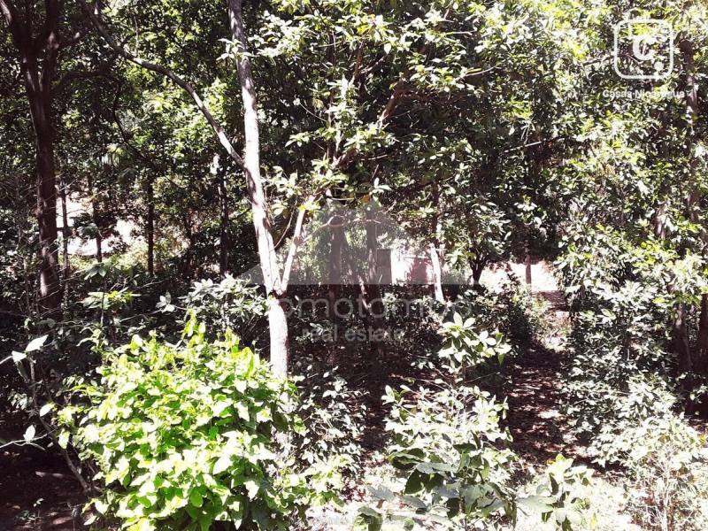 Finca en venta en Crucero, Managua – 20,000 varas²