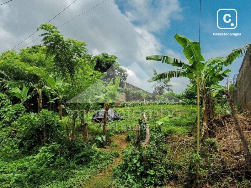 Terreno en venta en Jinotepe, Carazo – 390 varas²