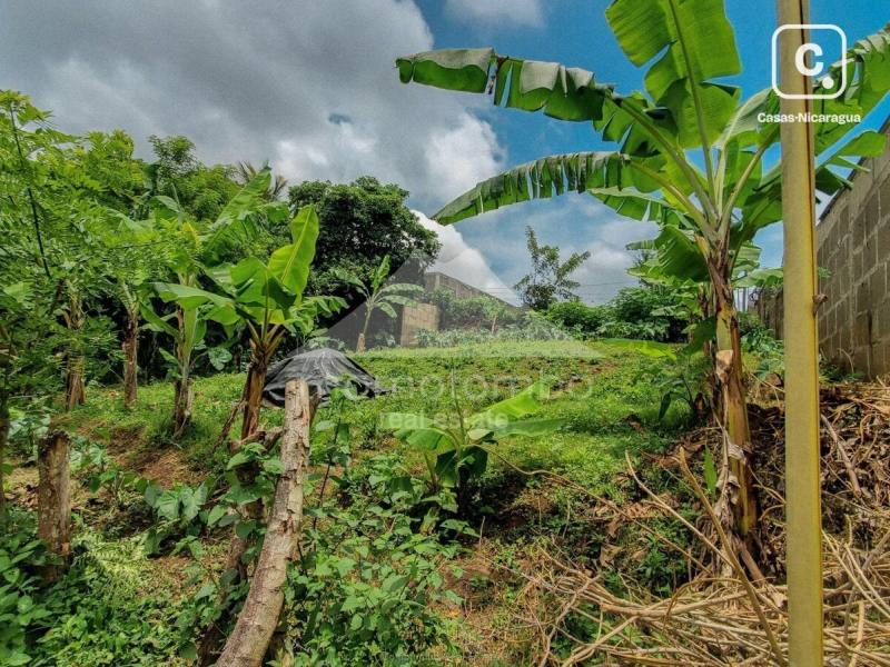 Terreno en venta en Jinotepe, Carazo – 390 varas²