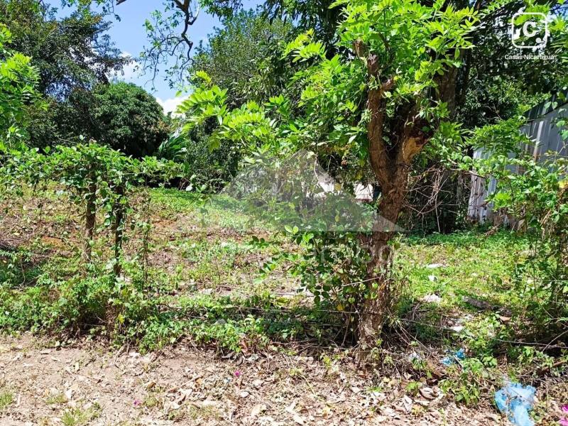 Terreno en venta en San Marcos, Carazo – 920 varas²
