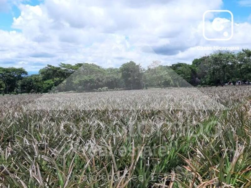 Terreno en venta en Nindirí, Masaya – 48,241 varas²
