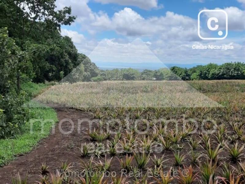 Terreno en venta en Ticuantepe, Managua – 69,063 varas²