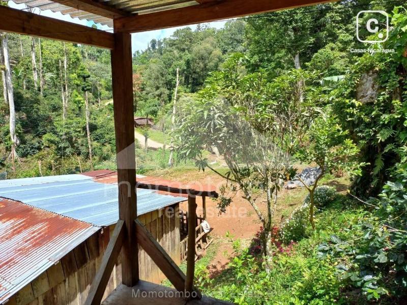 Finca en venta en San Ramon, Matagalpa – 100,000 varas²
