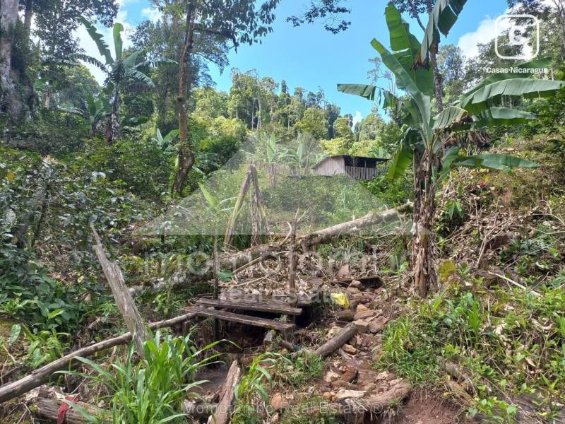Finca en venta en San Ramon, Matagalpa – 100,000 varas²