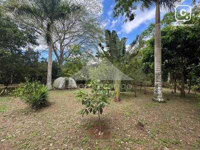 Terreno en venta en Jinotepe, Carazo – 12,500 varas²