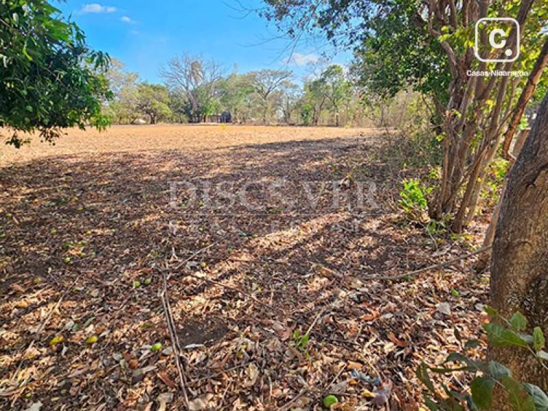 Terreno en venta en Nandaime, Granada – 35,000 varas²