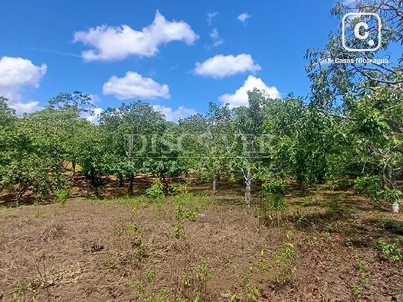 Finca en venta en Masatepe, Masaya – 2 hab, 40 m²