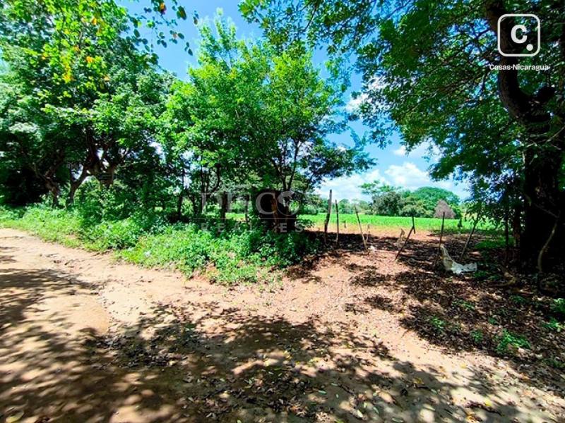 Terreno en venta en Tisma, Masaya – 43,000 varas²