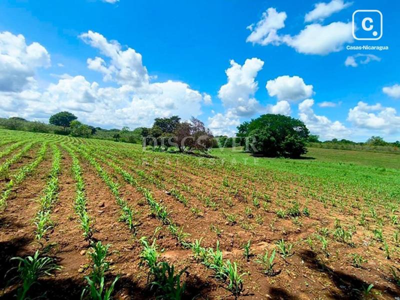 Terreno en venta en Tisma, Masaya – 43,000 varas²