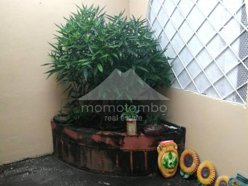 Casa en alquiler en El Mayoreo, Managua – 2 hab