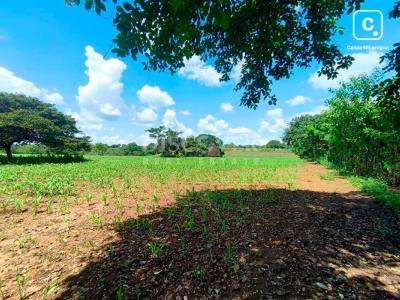 Terreno en venta en Tisma, Masaya – 43,000 varas²