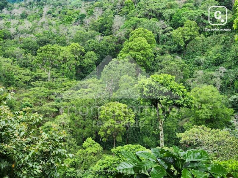 Finca en venta en El Tuma-La Dalia, Matagalpa – 820,000 varas²