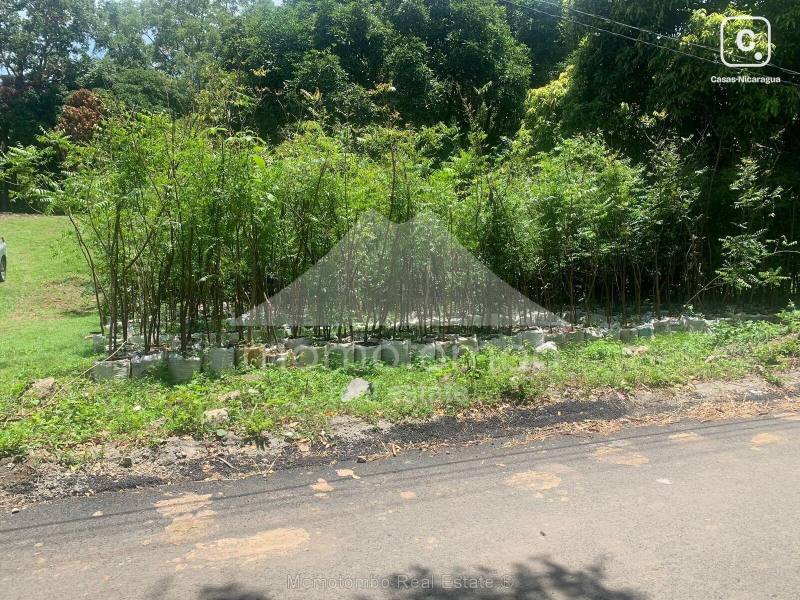 Terreno en venta en San Isidro de la Cruz Verde, Managua – 20,000 varas²