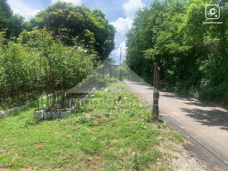 Terreno en venta en San Isidro de la Cruz Verde, Managua – 20,000 varas²