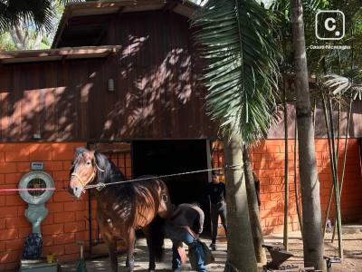 Finca en venta en Colonia Managua, Managua – 4 hab, 597 m²