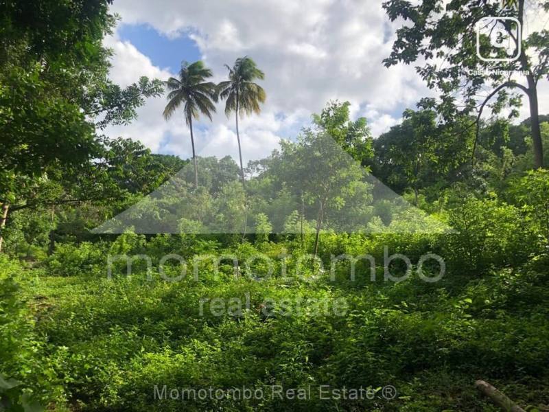 Finca en venta en Pochocuape, Managua – 5 m²