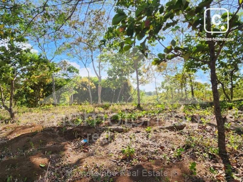 Terreno en venta en Niquinohomo, Masaya – 31,417 varas², US$ 42,000