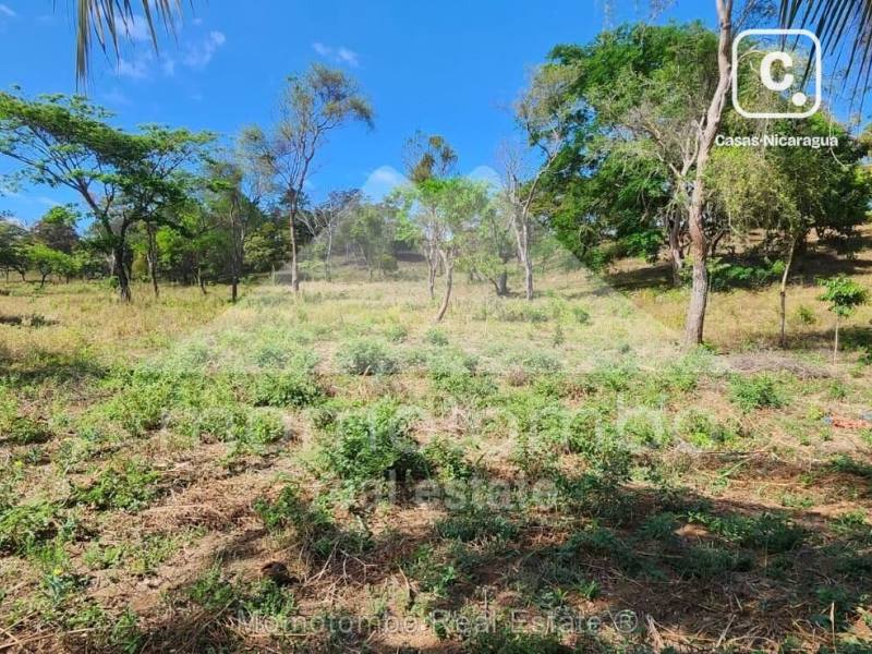 Terreno en venta en Niquinohomo, Masaya – 31,417 varas², US$ 42,000