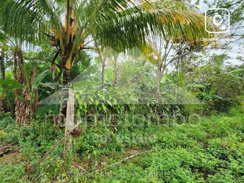 Terreno en venta en Niquinohomo, Masaya – 2,400 varas²