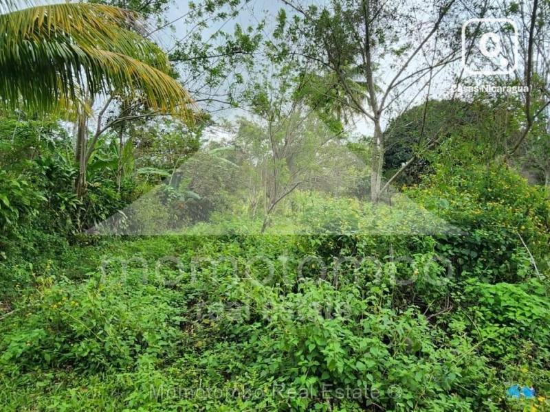 Terreno en venta en Niquinohomo, Masaya – 2,400 varas², US$ 33,600