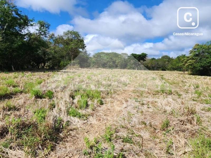 Finca en venta en Belén, Rivas – 1,760,000 varas², US$ 528,000