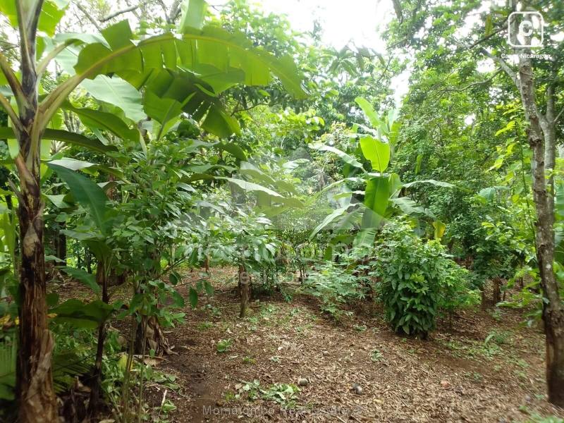 Casa en venta en Niquinohomo, Masaya – 2 hab, 122 m², US$ 40,000