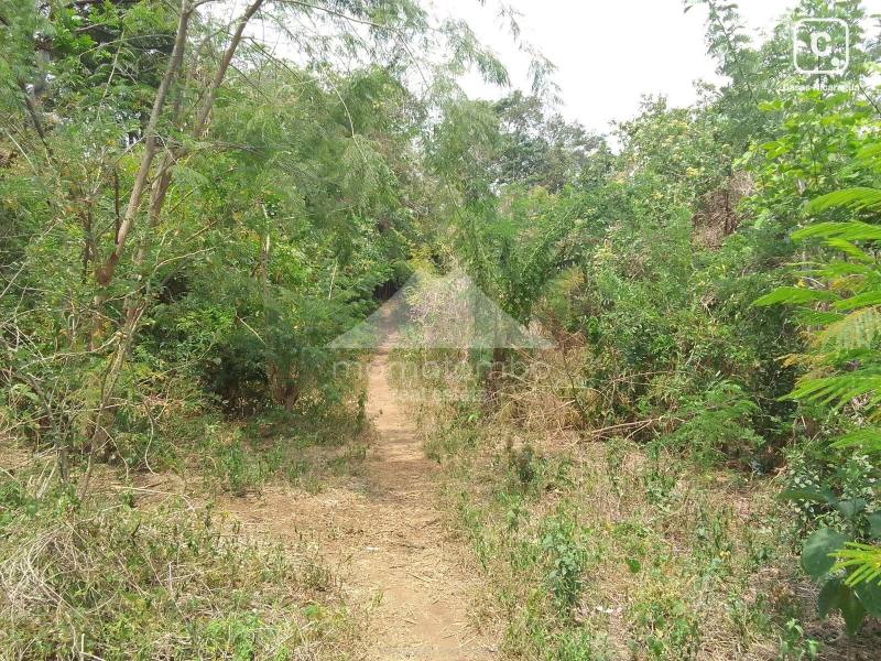 Terreno en venta en Pochocuape, Managua – 4,027 varas², US$ 30,000