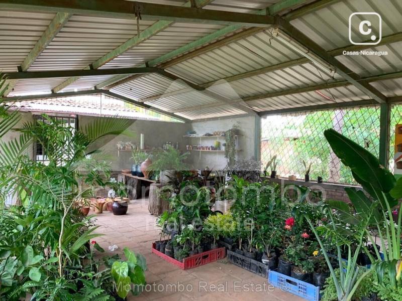 Local comercial en venta en La Paz Centro, León – 25,000 varas², US$ 125,000