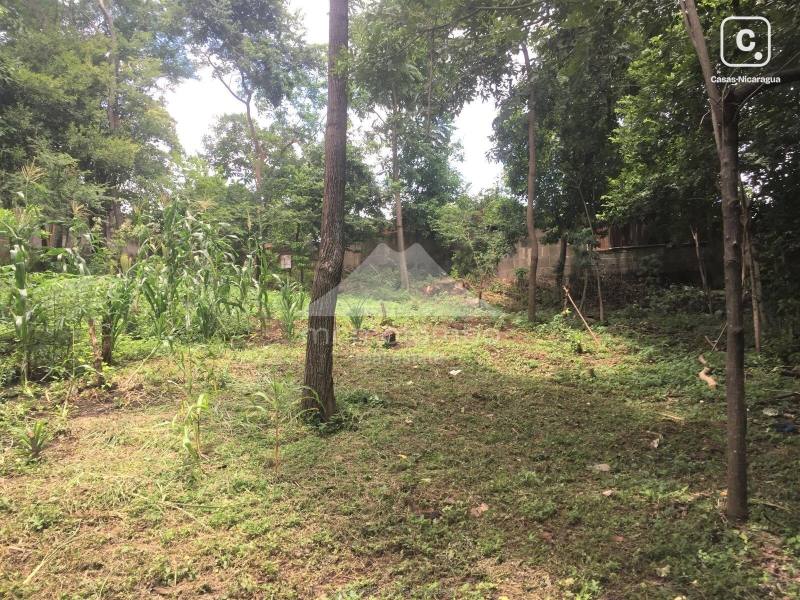 Terreno en venta en Loma Linda, Managua – 2,204 varas²