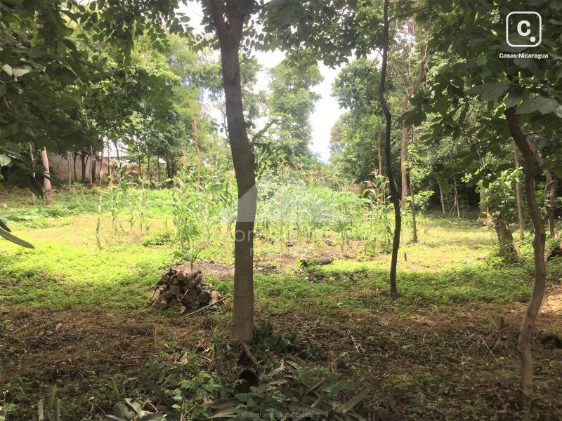 Terreno en venta en Loma Linda, Managua – 2,204 varas²