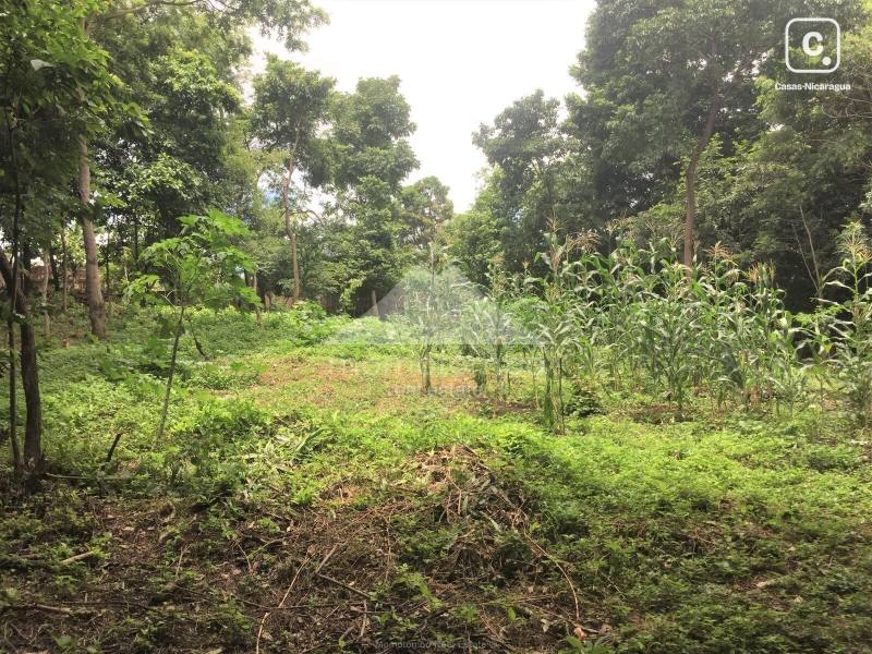 Terreno en venta en Loma Linda, Managua – 2,204 varas², US$ 65,000