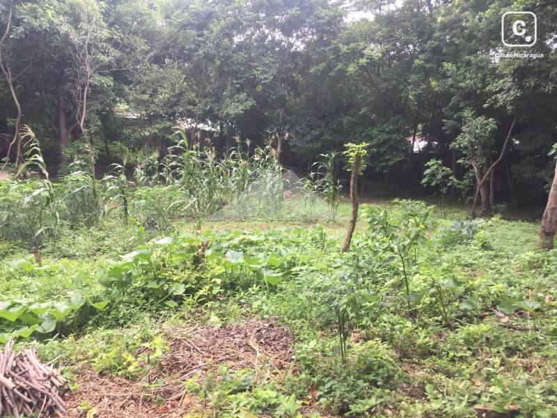 Terreno en venta en Loma Linda, Managua – 2,204 varas², US$ 65,000