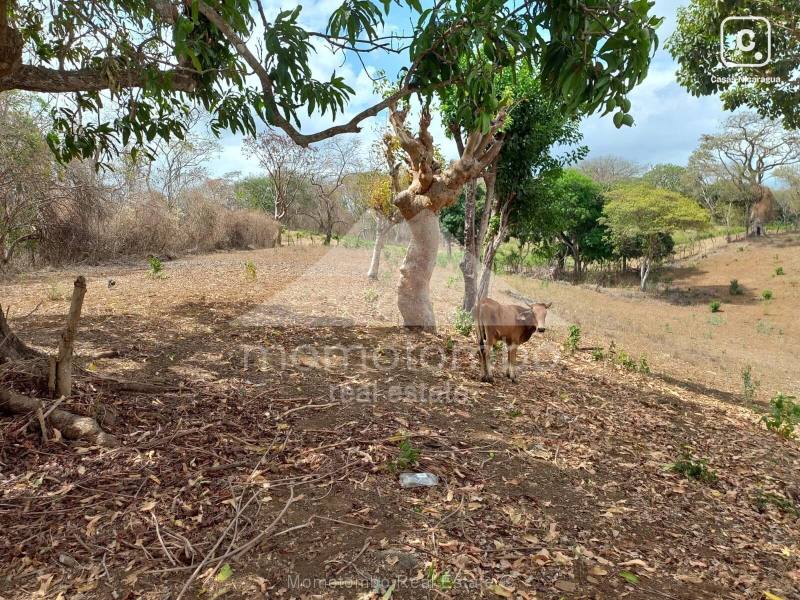 Terreno en venta en San Isidro de la Cruz Verde, Managua – 211 m², US$ 4,410,000