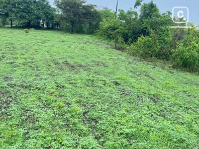 Finca en venta en Carazo – 60,397 varas²