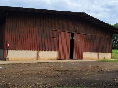 Bodega en renta salida de Leon