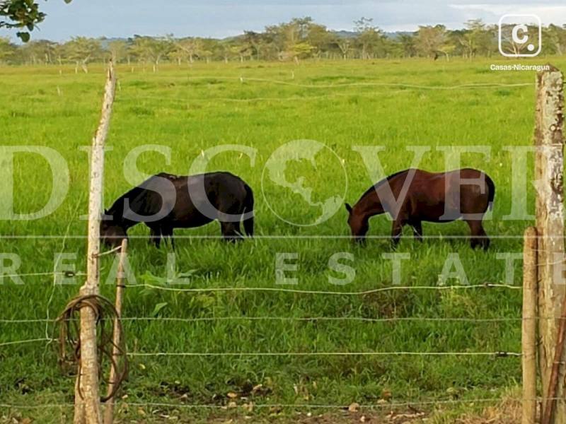 Finca en venta en Río San Juan – 6 hab, 477 m²