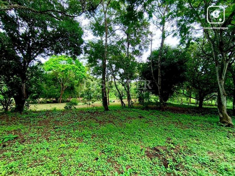 Terreno en venta en Masaya – 35,000 varas²