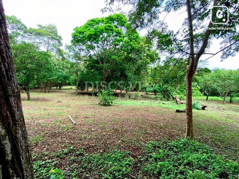 Terreno en venta en Masaya – 35,000 varas²